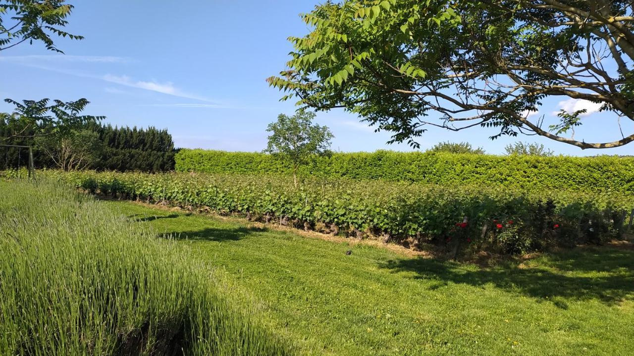 Clos Des Chenevieres, 3 Etoiles Comblanchien Экстерьер фото